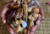 Powerful Witch doctor in uganda & worldwide +27633953837